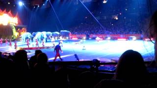Elephants Parade at Circus