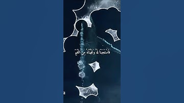 واتس اب قران كريم القارئ ياسر الدوسري من سورة (الانبياء)