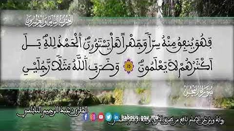 الثمن 3  من الحزب 28 رواية ورش عن نافع من المصحف المثمن بصوت القارئ عبد الرحيم النابلسي