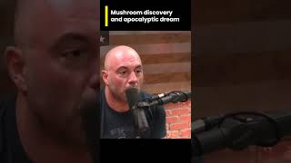 Mushroom discovery and apocalyptic dream