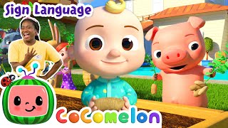one potato two potatoes cocomelon nursery rhymes learn asl baby sign language for kids