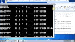 Celebrity Memory Forensics Tutorial 4 (Basic Commands of Volatility) Wealth
