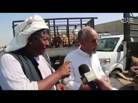 الرشايده في سوق الغنام في جده