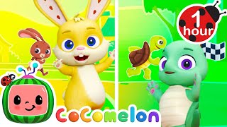 Tortoise Dance? OR the Hare Dance? | @CoComelon Nursery Rhymes \& Kids Songs