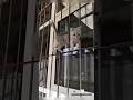 Wait Linga Guli Guli Cutenessoverload Cat Pets Funnycats Catlover Kitten Wait Linga Guli Guli Cutenessoverload Cat Pets Funnycats Catlover Kitten