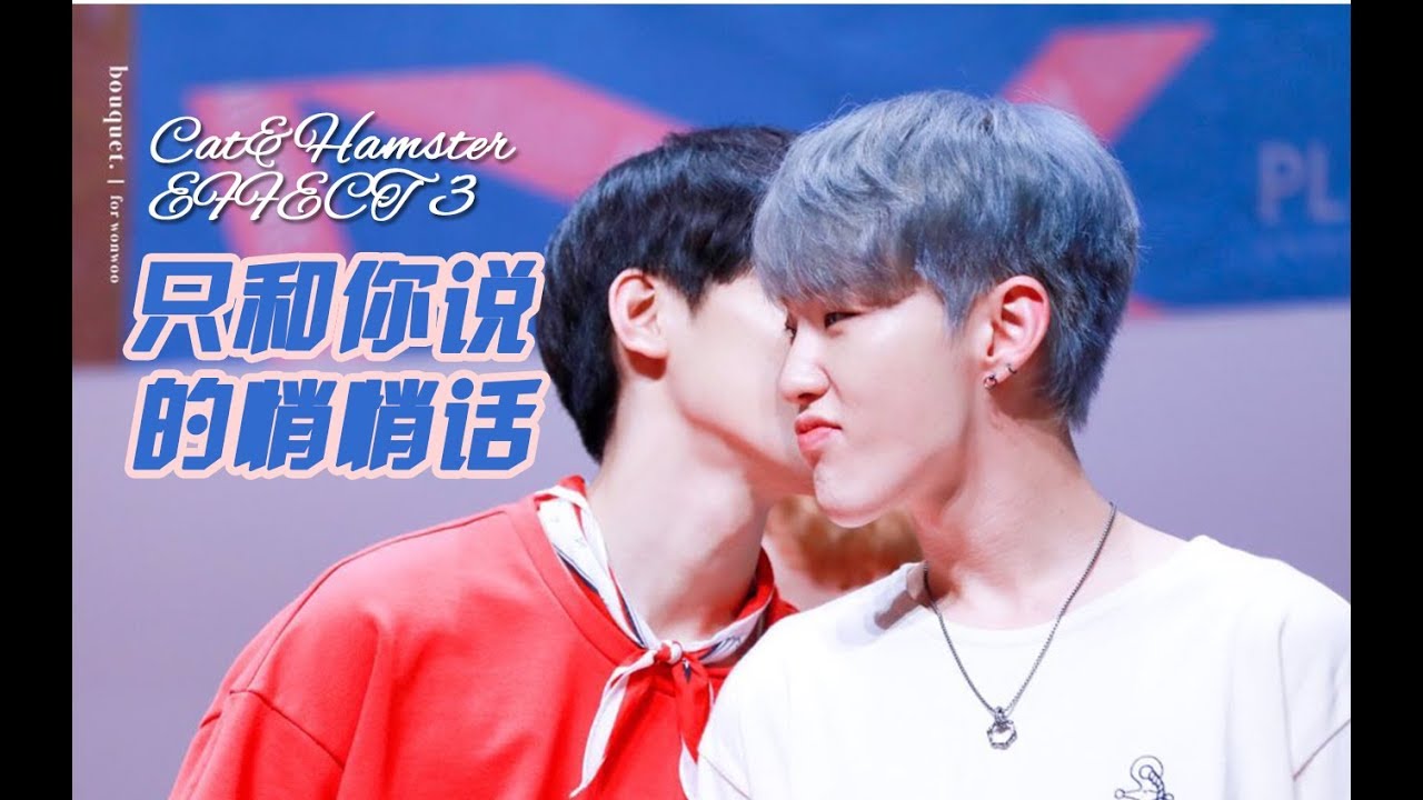 [Wonwoo♥Hoshi]Wonsoon/Soonwoo-Cat&Hamster Effect|Just whispering to you
