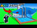 Roblox Bait Tricks to Catch Billions of Fish 🎣