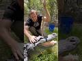He S A Good Boy Gator Alligator Animals Dangerous Florida He S A Good Boy Gator Alligator Animals Dangerous Florida