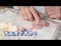 ペローシスの雛ちゃん　成長はかなり遅いです