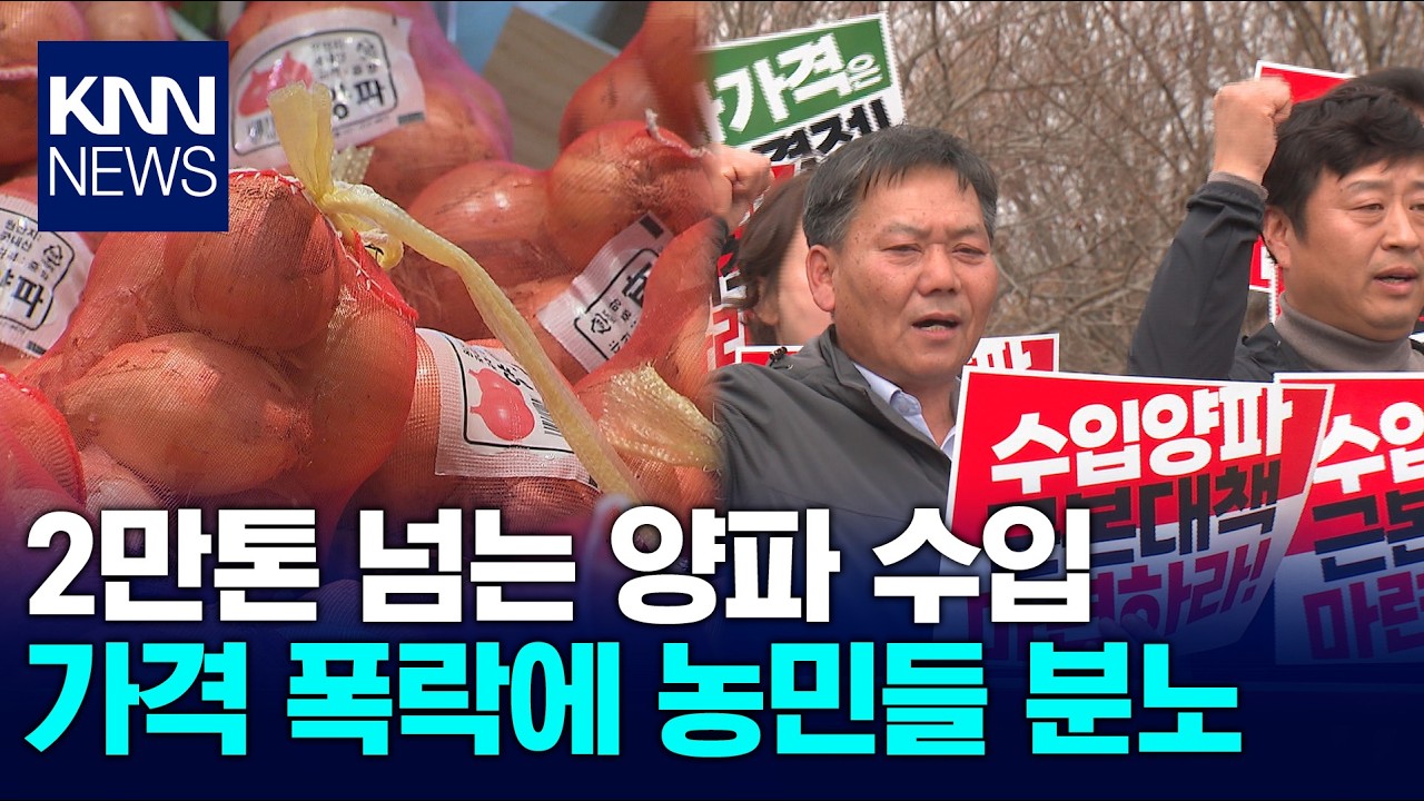 '수입산 확대' 여파 양파 가격 폭락 우려, 농민 반발 / KNN
