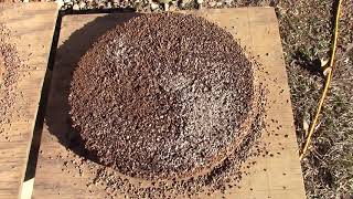 Let Me Show You The Diamond Indicator Minerals I Collected With The Pleitz Jig