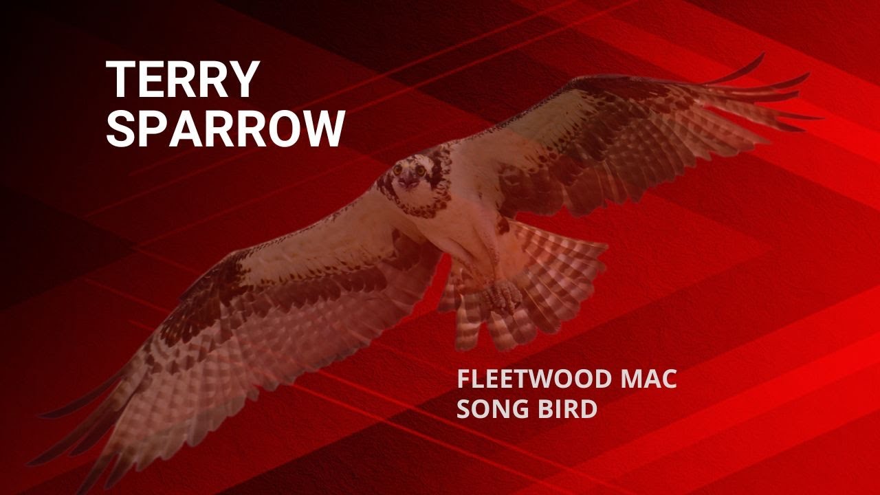 Song Bird Fleetwood Mac cover YouTube