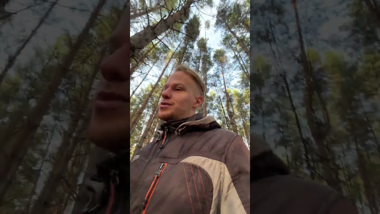 Оставляй лес чистым