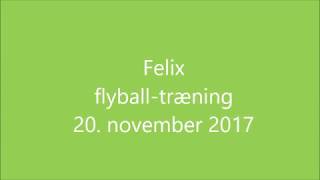 Felix flyball 20112017