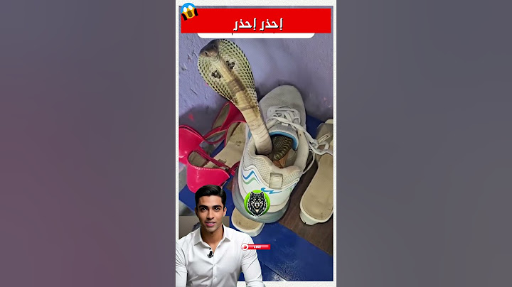 إحذر قبل أن تلبس حذائك... قد يكون فيه مفاجأة! 👟🐍😱 #shorts