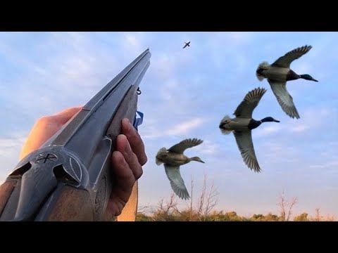 Открытие охоты на утку. ТАК МНОГО УТКИ Я ЕЩЕ НЕ ВИДЕЛ. Охота на утку с ...
