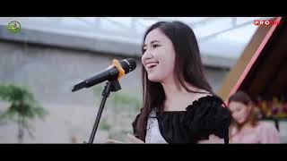 Dara Ayu - Bisane Mung Nyawang || Story'Wa Terbaru