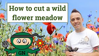 How & when to cut back a wildflower meadow