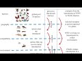Lecture 07 principles of Zoogeography (barriers and means of dispersal)