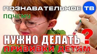 Почему нужно делать прививки детям? (Познавательное ТВ, Владимир Базарный) Почему нужно делать прививки детям? (Познавательное ТВ, Владимир Базарный)
