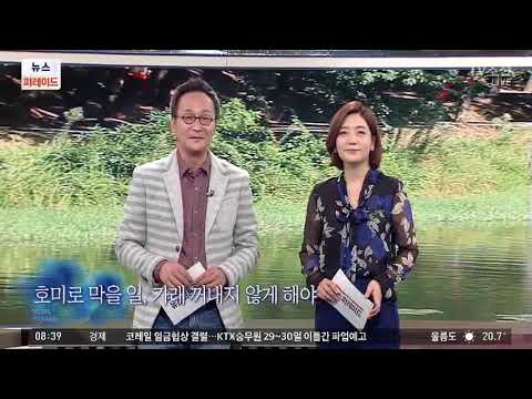 [박종인의 오늘 아침] 호미로 막을 일, 가래 꺼내지 않게 해야
