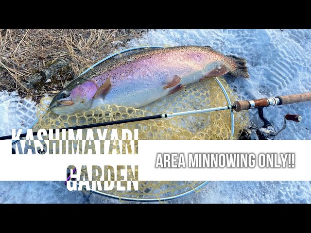 エリアミノーイング】大物の本気のフルチェイスが堪らない！ in 鹿島槍