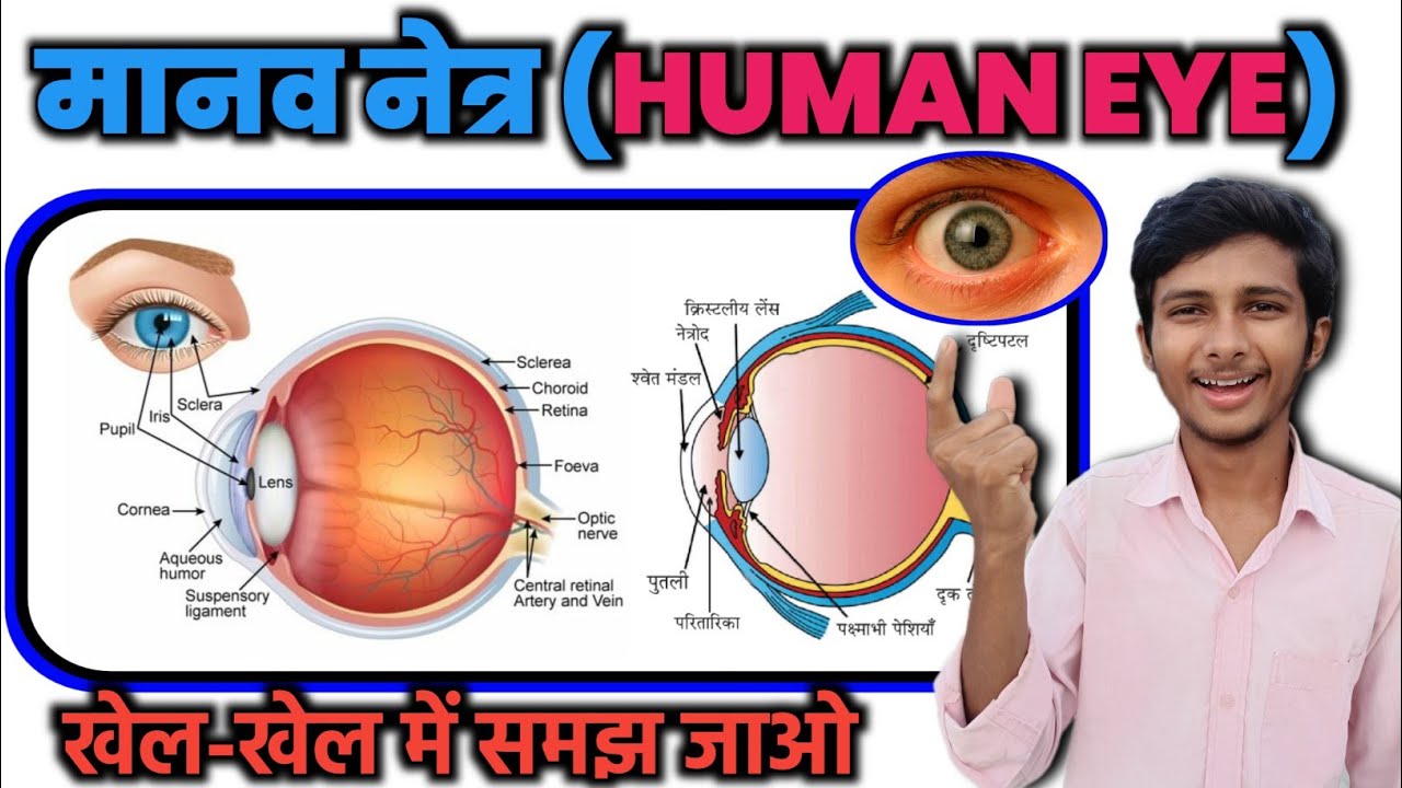 👀 मानव नेत्र (human eye) || Manav Netra Mein Rang biranga Sansar ...
