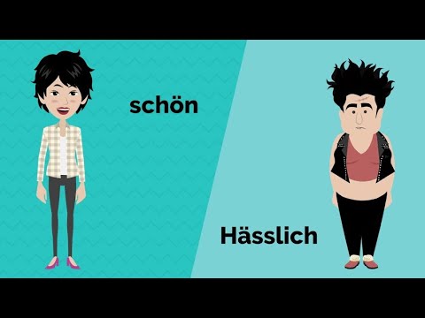 Learn German | the most important adjectives | opposites | adjective declension |