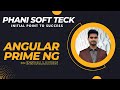 Prime Ng Installation | Angular primeNg installation by Phanindra Kumar Pedipini