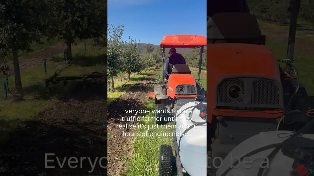 Everyone wants to be a truffle farmer until they realise it’s just them and 10 hours of engine noise