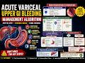 Managing the Bleed: Acute Variceal Haemorrhage Protocol