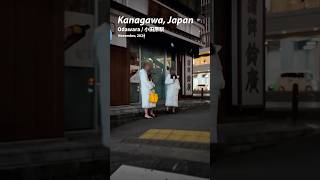 4K Night Walk: Revived Nightlife & Changing Streets in Odawara #DJIOsmoPocket3