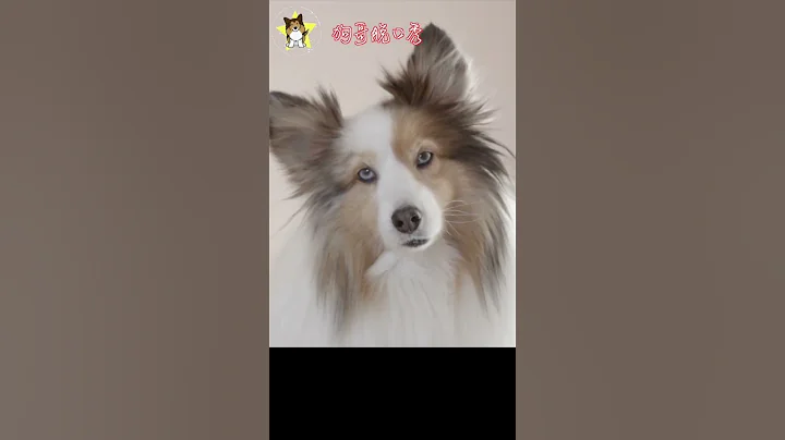 中国国产品牌手机强制内置监控软件，苹果手机呢？ - 天天要闻