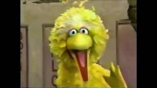 Sesame Street - Elmo And Big Bird Learn About Dinosaurs