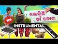 Lekhichi naa tora  new instrumental song   seth online