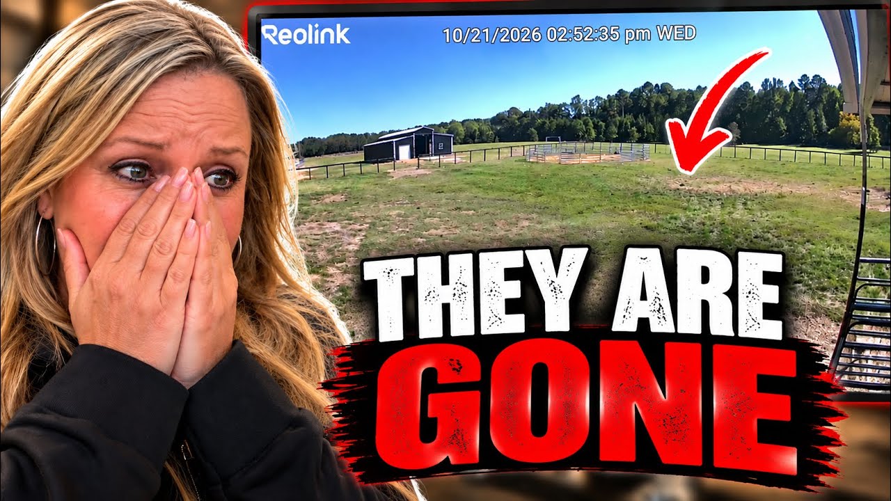 My Horses Were MISSING 