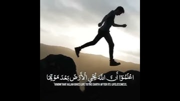 قرآن كريم بصوت  شريف مصطفى جميل حالات واتس اب دينية ❤