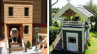 Magnificent Dog Houses You Must See! by Numan Gürsoy 8,316 views 5 years ago 7 minutes, 32 seconds