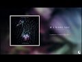 If I Were You - Fraud