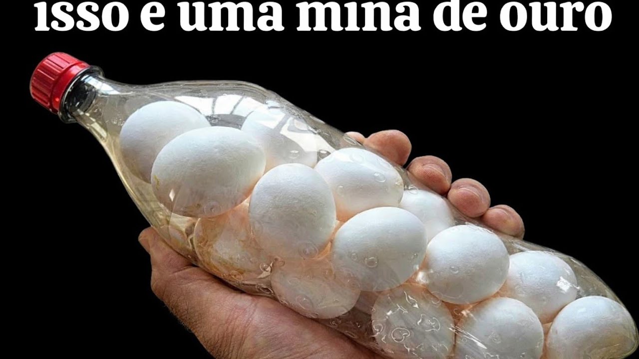 📢MORRIA E NÃO SABIA O segredo dos OVOS na GARRAFA PET faça e pare de GASTAR uma fortuna
