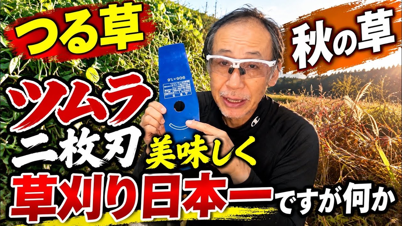 Exclusive Reveal: How to Get the Best Out of the Tsumura Twin
