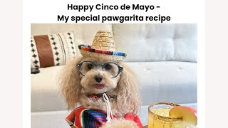 Happy Cinco de Mayo - my special pawgarita recipe by Noodlesthepooch 24,046 views 3 weeks ago 1 minute, 10 seconds