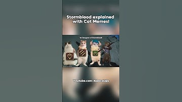 Stormblood explained with cat memes. Pt. 1 #ffxivmemes #shorts