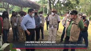 Buen avance el programa Sembrando Vida en Veracruz