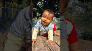 Joy Is Playing On The Loft .