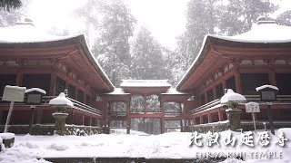Enryakuji, The Greatest Buddhist Mountain in Japan | 4K