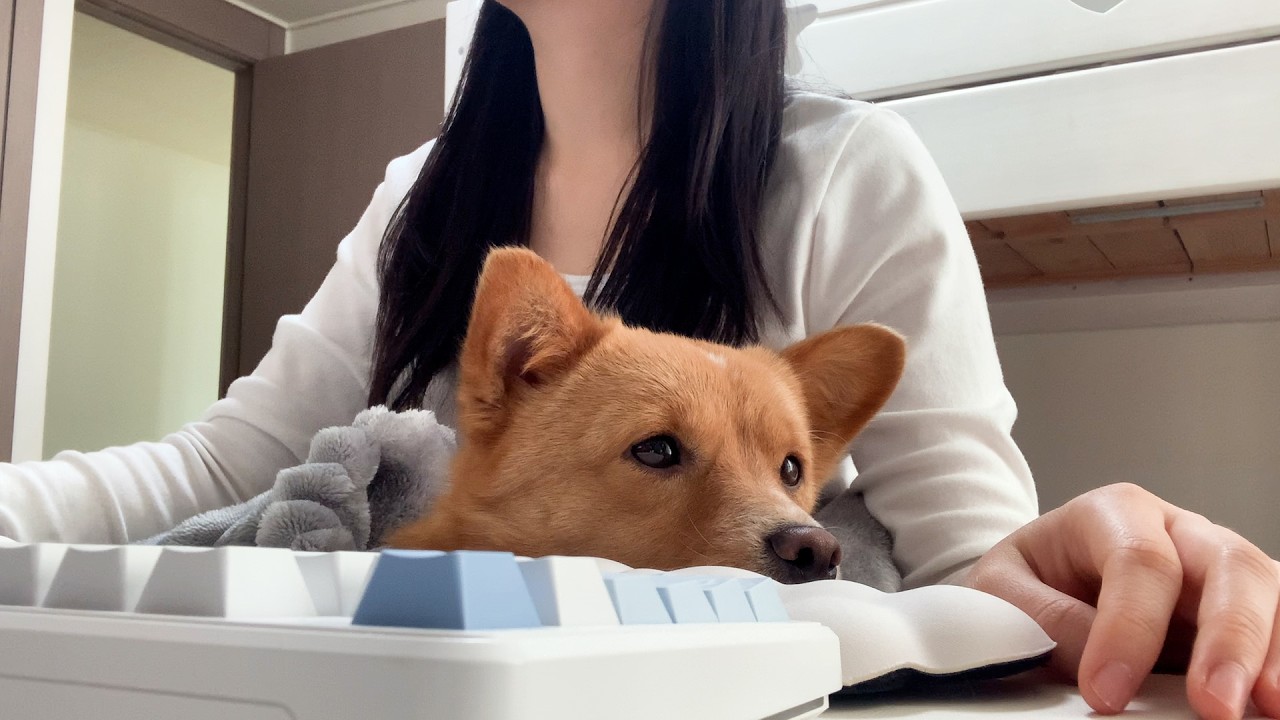 언니 무릎은 내 자리