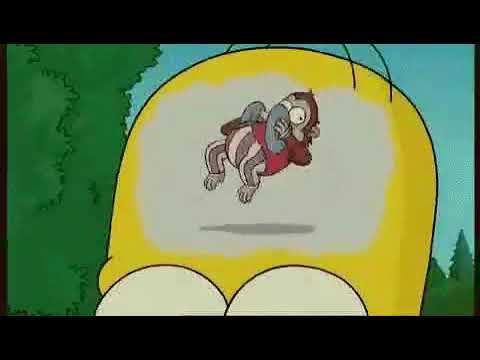 Обезьянка с тарелками в голове картинки