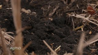 Organic Matter in Soil #1069 (Air Date 93018)