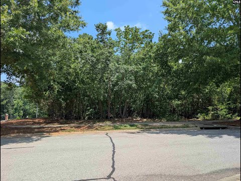 1060 Coogler Crossing Drive, Blythewood, SC home video tour
